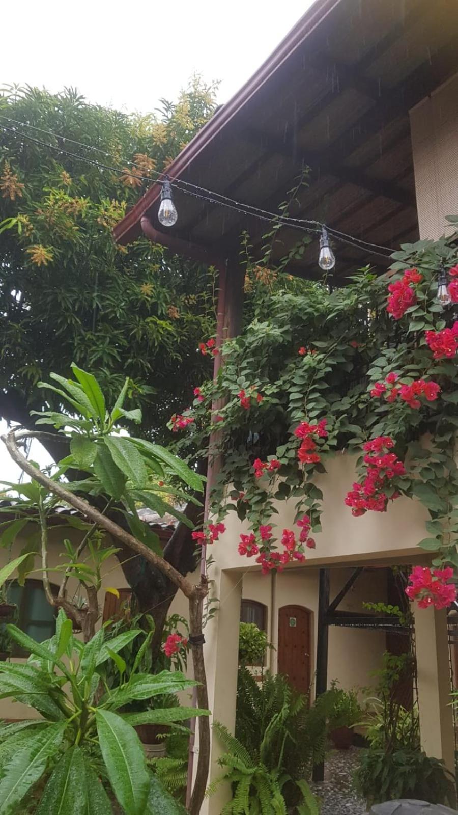 Casa Riverstone León Kültér fotó